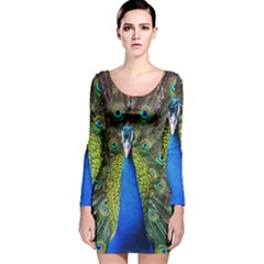 Peacock Bird Feathers Pheasant Nature Animal Texture Pattern Long Sleeve Velvet Bodycon Dress by Bedest