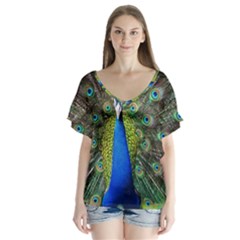 Peacock Bird Feathers Pheasant Nature Animal Texture Pattern V-neck Flutter Sleeve Top