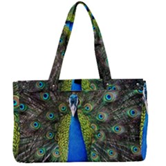 Peacock Bird Feathers Pheasant Nature Animal Texture Pattern Canvas Work Bag