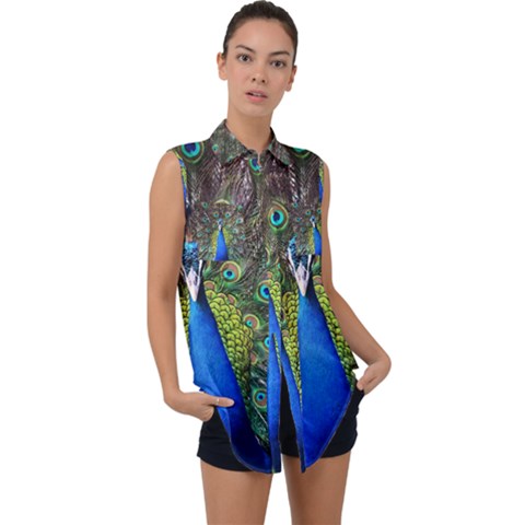 Peacock Bird Feathers Pheasant Nature Animal Texture Pattern Sleeveless Chiffon Button Shirt by Bedest