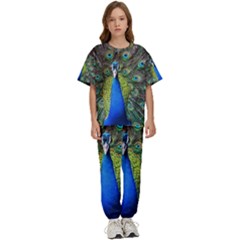 Peacock Bird Feathers Pheasant Nature Animal Texture Pattern Kids  T-shirt And Pants Sports Set by Bedest