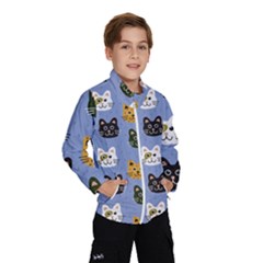 Cat Cat Background Animals Little Cat Pets Kittens Kids  Windbreaker