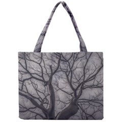Landscape Forest Ceiba Tree, Guayaquil, Ecuador Mini Tote Bag by dflcprintsclothing