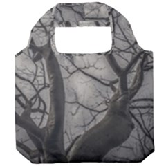 Landscape Forest Ceiba Tree, Guayaquil, Ecuador Foldable Grocery Recycle Bag by dflcprintsclothing