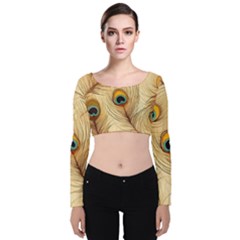 Vintage Peacock Feather Peacock Feather Pattern Background Nature Bird Nature Velvet Long Sleeve Crop Top