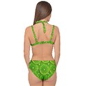 Lime Textures Macro, Tropical Fruits, Citrus Fruits, Green Lemon Texture Double Strap Halter Bikini Set View2