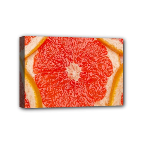 Grapefruit-fruit-background-food Mini Canvas 6  X 4  (stretched)