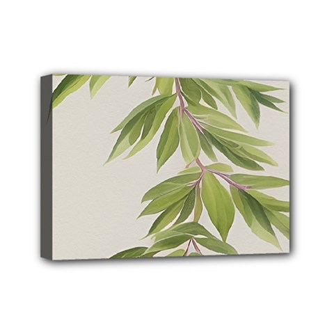 Watercolor Leaves Branch Nature Plant Growing Still Life Botanical Study Mini Canvas 7  X 5  (stretched)