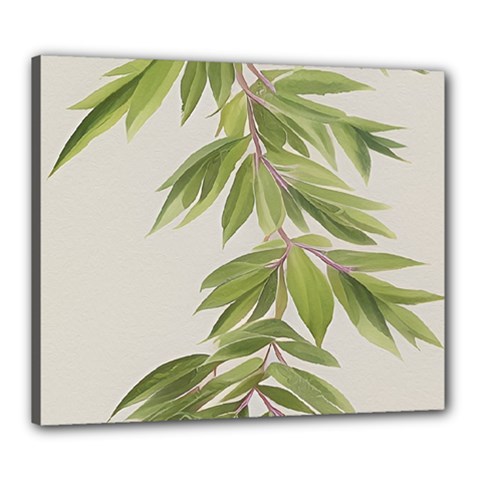 Watercolor Leaves Branch Nature Plant Growing Still Life Botanical Study Canvas 24  X 20  (stretched) by Posterlux