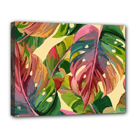 Monstera Colorful Leaves Foliage Canvas 14  X 11  (stretched)