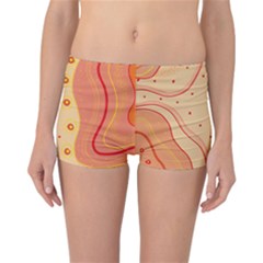 Lines Abstract Colourful Design Reversible Boyleg Bikini Bottoms