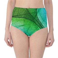 3d Leaves Texture Sheet Blue Green Classic High-waist Bikini Bottoms by Cemarart