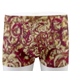 Apple Leftovers Collage Random Pattern Men s Boxer Briefs by dflcprintsclothing