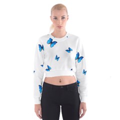 Butterfly-blue-phengaris Cropped Sweatshirt by saad11