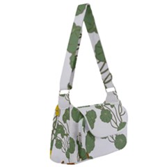 Nasturtium Flower Plant Leaves Multipack Bag