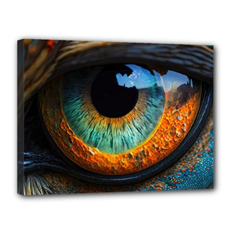 Eye Bird Feathers Vibrant Canvas 16  X 12  (stretched) by Hannah976