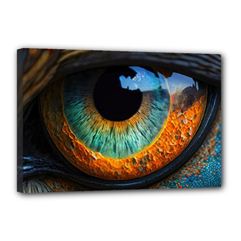 Eye Bird Feathers Vibrant Canvas 18  X 12  (stretched)