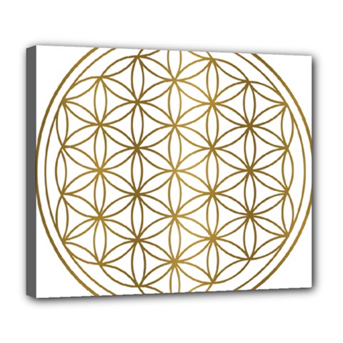 Gold Flower Of Life Sacred Geometry Deluxe Canvas 24  X 20  (stretched)