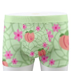 Leaf Blossom Peaches Men s Boxer Briefs by SpankoGoods