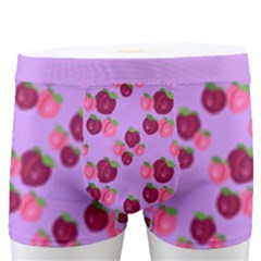 Lilac Peaches Men s Boxer Briefs by SpankoGoods