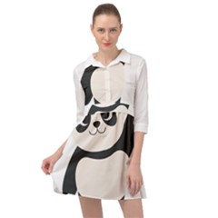 Hello Panda  Mini Skater Shirt Dress