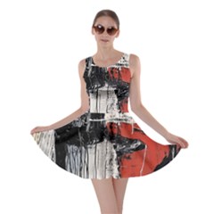 Abstract  Skater Dress