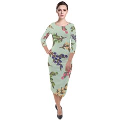 Berries Flowers Pattern Print Quarter Sleeve Midi Velour Bodycon Dress