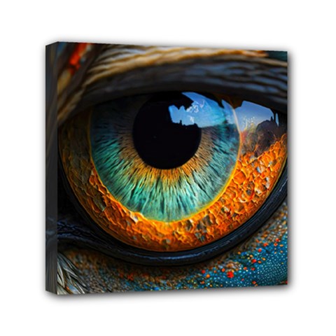 Eye Bird Feathers Vibrant Mini Canvas 6  X 6  (stretched)