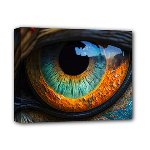 Eye Bird Feathers Vibrant Deluxe Canvas 14  X 11  (stretched)