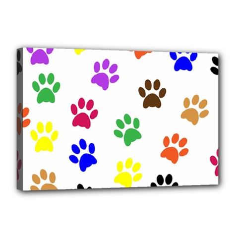 Pawprints Paw Prints Paw Animal Canvas 18  X 12  (stretched)