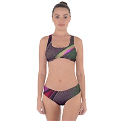 Texture Abstract Curve  Pattern Red Criss Cross Bikini Set