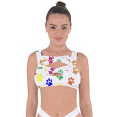 Pawprints Paw Prints Paw Animal Bandaged Up Bikini Top