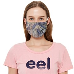 Abstract Wings Cloth Face Mask (adult)