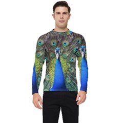 Peacock Bird Feathers Pheasant Nature Animal Texture Pattern Men s Long Sleeve Rash Guard