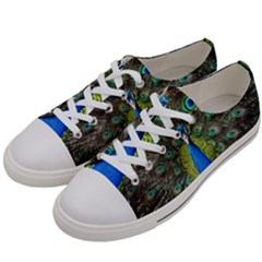 Peacock Bird Feathers Pheasant Nature Animal Texture Pattern Men s Low Top Canvas Sneakers