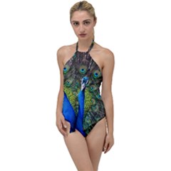 Peacock Bird Feathers Pheasant Nature Animal Texture Pattern Go With The Flow One Piece Swimsuit by Bedest