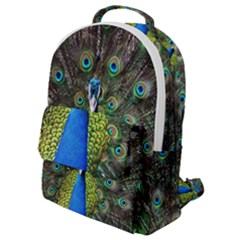 Peacock Bird Feathers Pheasant Nature Animal Texture Pattern Flap Pocket Backpack (small)