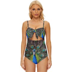 Peacock Bird Feathers Pheasant Nature Animal Texture Pattern Knot Front One-piece Swimsuit by Bedest