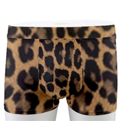 Tiger Skin Art Pattern Men s Boxer Briefs by Ket1n9