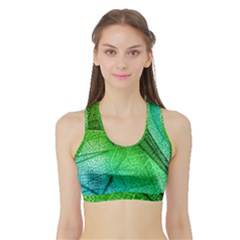 3d Leaves Texture Sheet Blue Green Sports Bra With Border by Cemarart