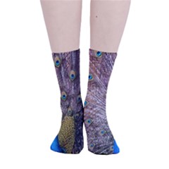 Peacock Bird Animal Peafowl Smooth Crew Length Tube Socks