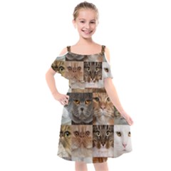 Breeds Of Cats Collage Kids  Cut Out Shoulders Chiffon Dress