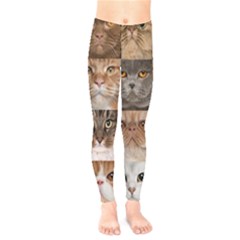 Breeds Of Cats Collage Kids  Leggings