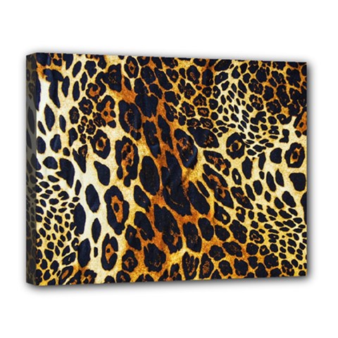 Leopard Skin Texture, Macro, Brown Canvas 14  X 11  (stretched)