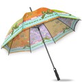 Umbrella image