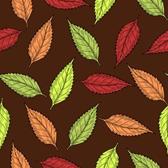 autumn leaves pattern