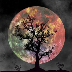 full moon silhouette tree night