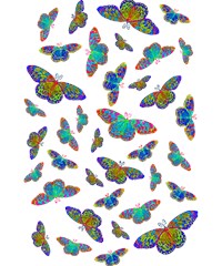 butterflies shirt colorful in rainbow colors