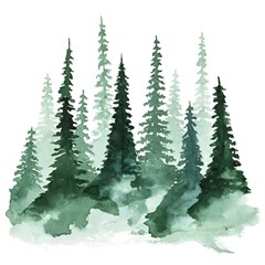 tree watercolor painting pine forest