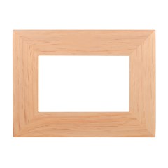 Wood Photo Frame Icon